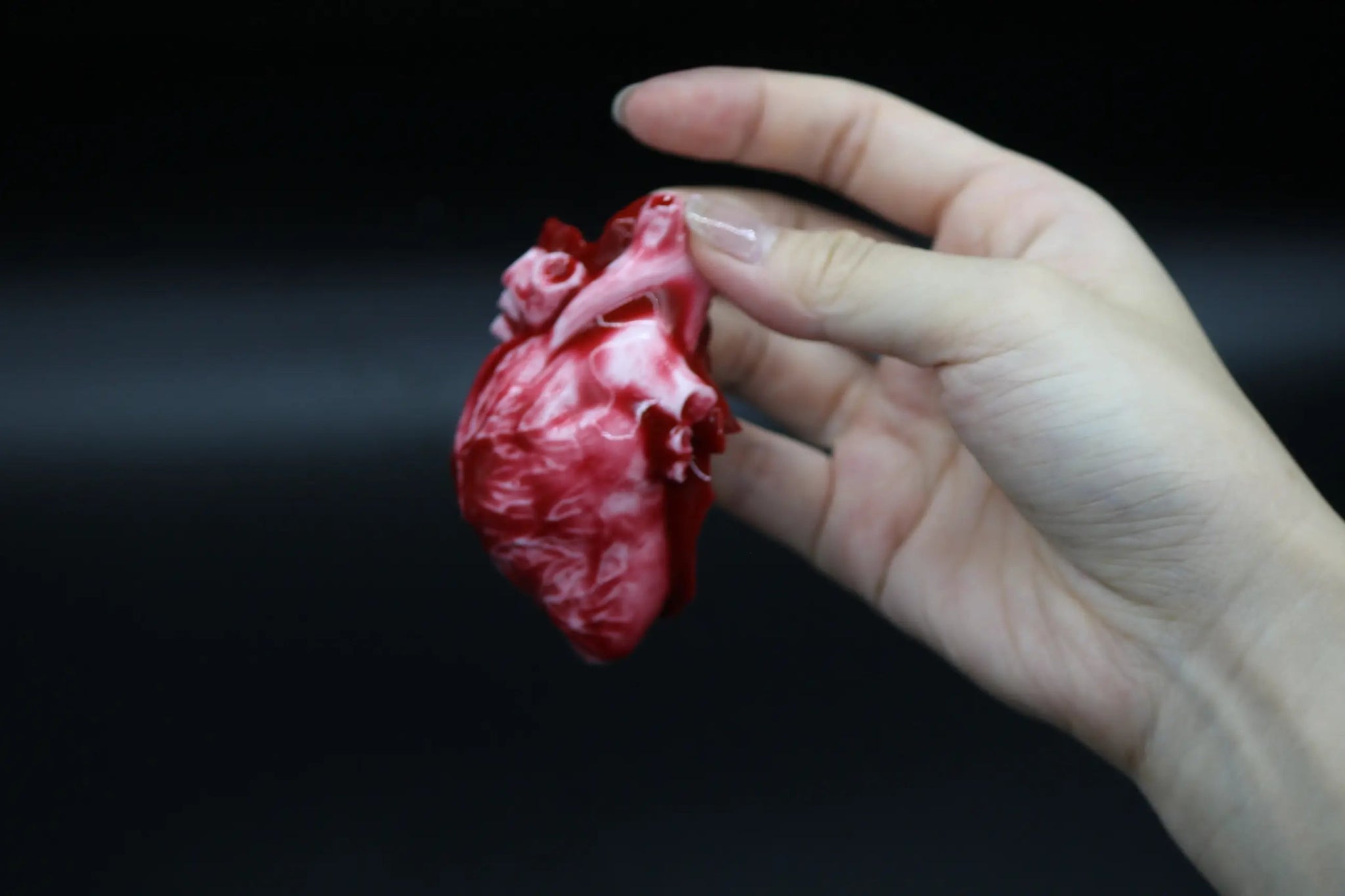 Bloody Heart Squishy - squishy - Yumi Squishy