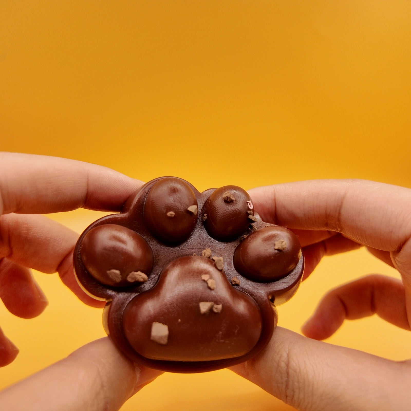 Chocolate Brown Cat Paw Squishy - squishy - Yumi Squishy