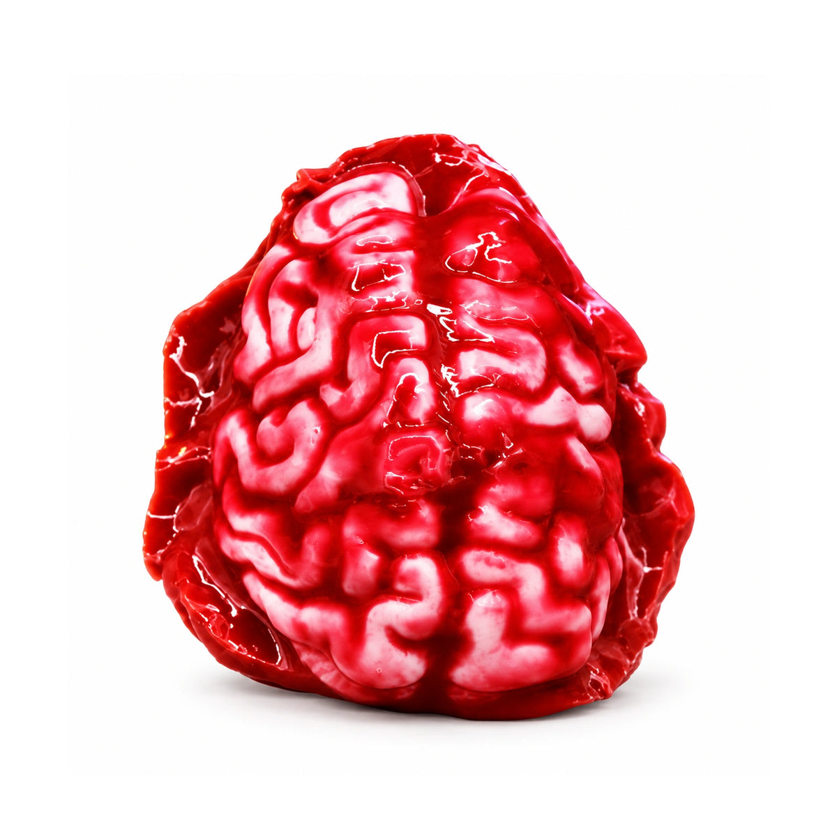 Bloody Brain Squishy Toy – white background product photo