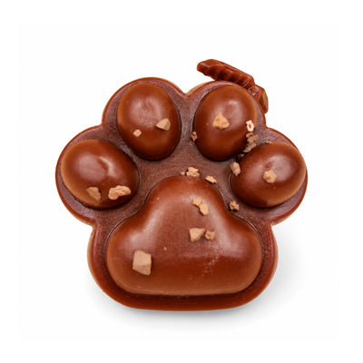 Chocolate Brown Cat Paw Squishy – white background product photo