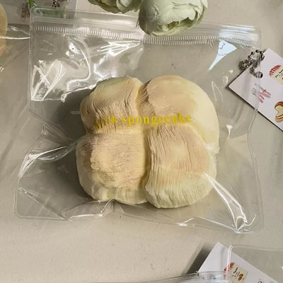 Coconut Milk Squishy product image 2