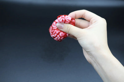 Bloody Brain Squishy - squishy - Yumi Squishy