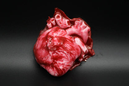 Bloody Heart Squishy - squishy - Yumi Squishy