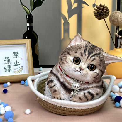 Brown Tabby - Chubby Cat Squishy - squishy - Yumi Squishy