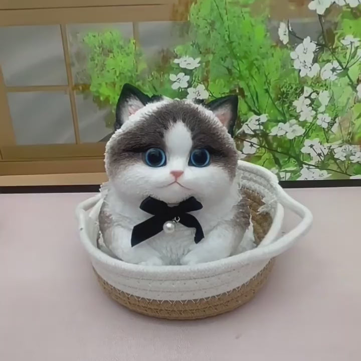 Load video: Silk Elegance Ragdoll - Chubby Cat Squishy