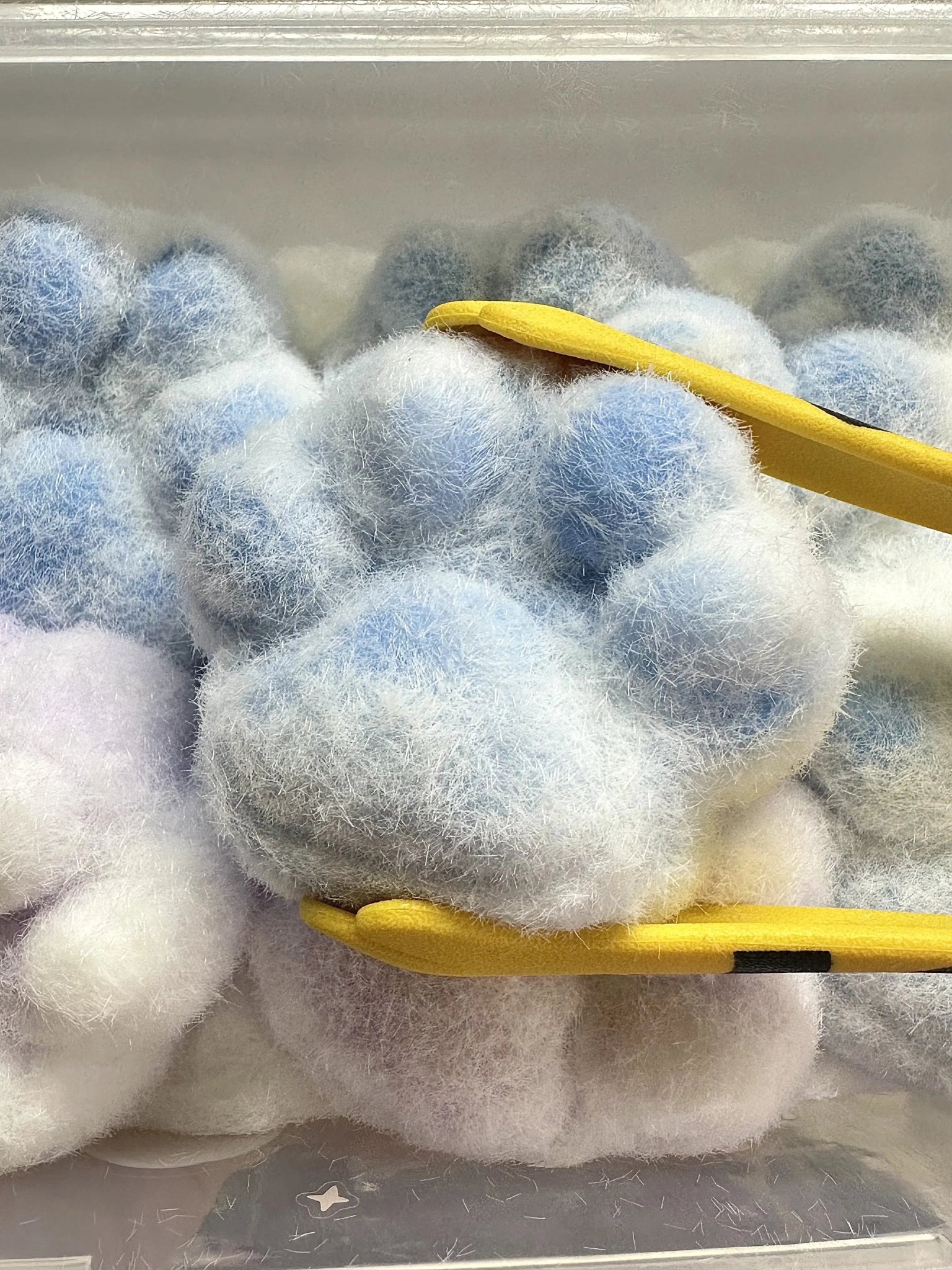 The Purrfect Paw Family - squishy - Yumi Squishy