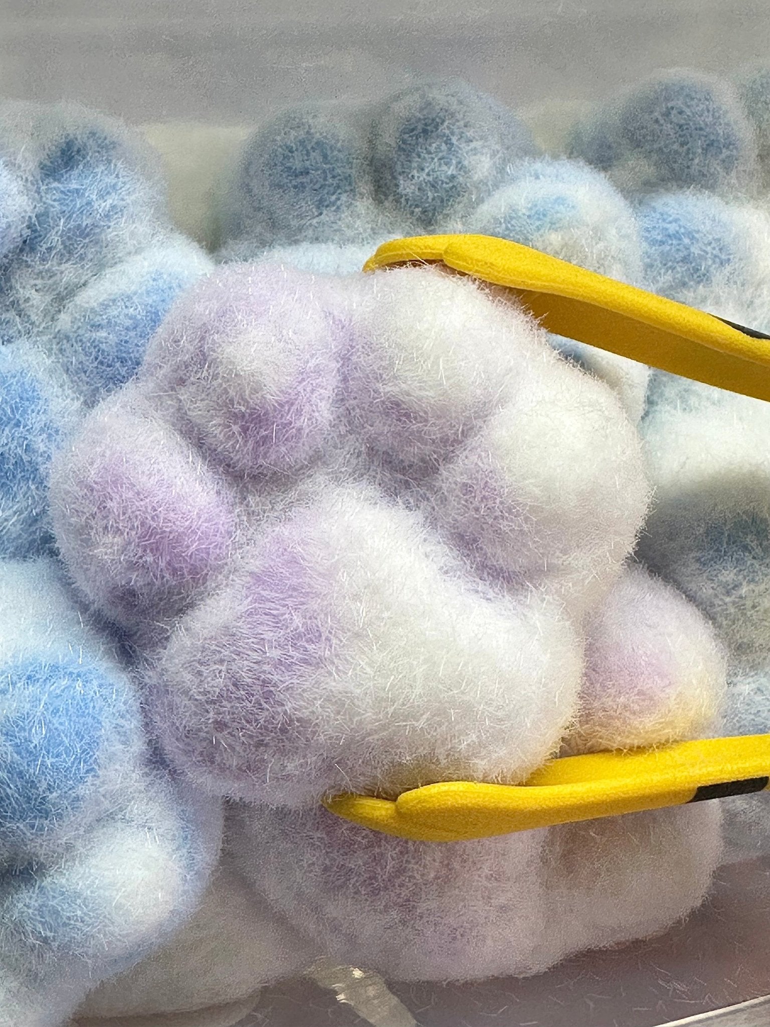 The Purrfect Paw Family - squishy - Yumi Squishy